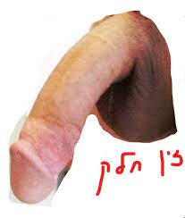 זין גדול וחלק לבנות ואולי גם לבנים 2