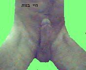 מחפש בחורות 3