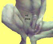 מחפש בחורות 5